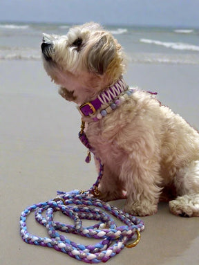 Flower Collection - Purple Island Collar