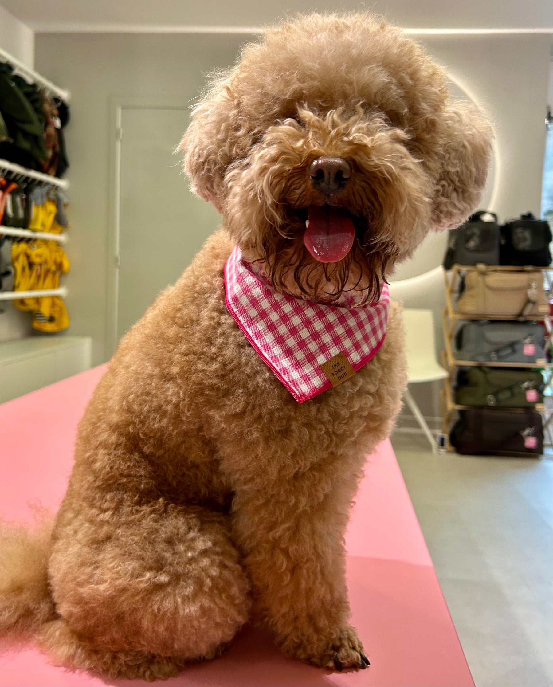 Gingham pink bandana