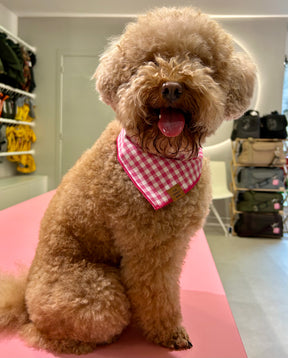 Gingham pink bandana