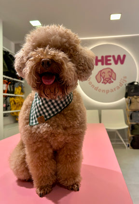 Gingham green bandana