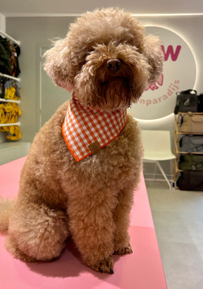 Gingham Cider bandana
