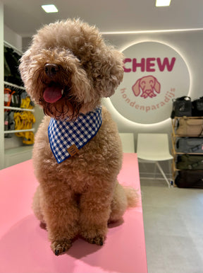 Gingham blue bandana