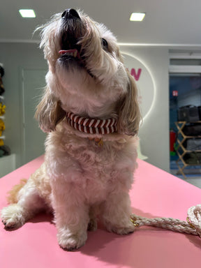 Riviera Collection - Forte dei Marmi tekenband