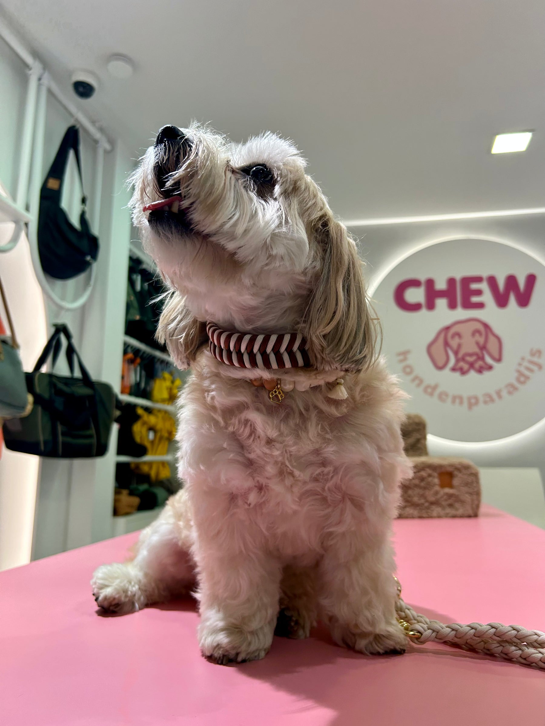 Riviera Collection - Forte dei Marmi tekenband