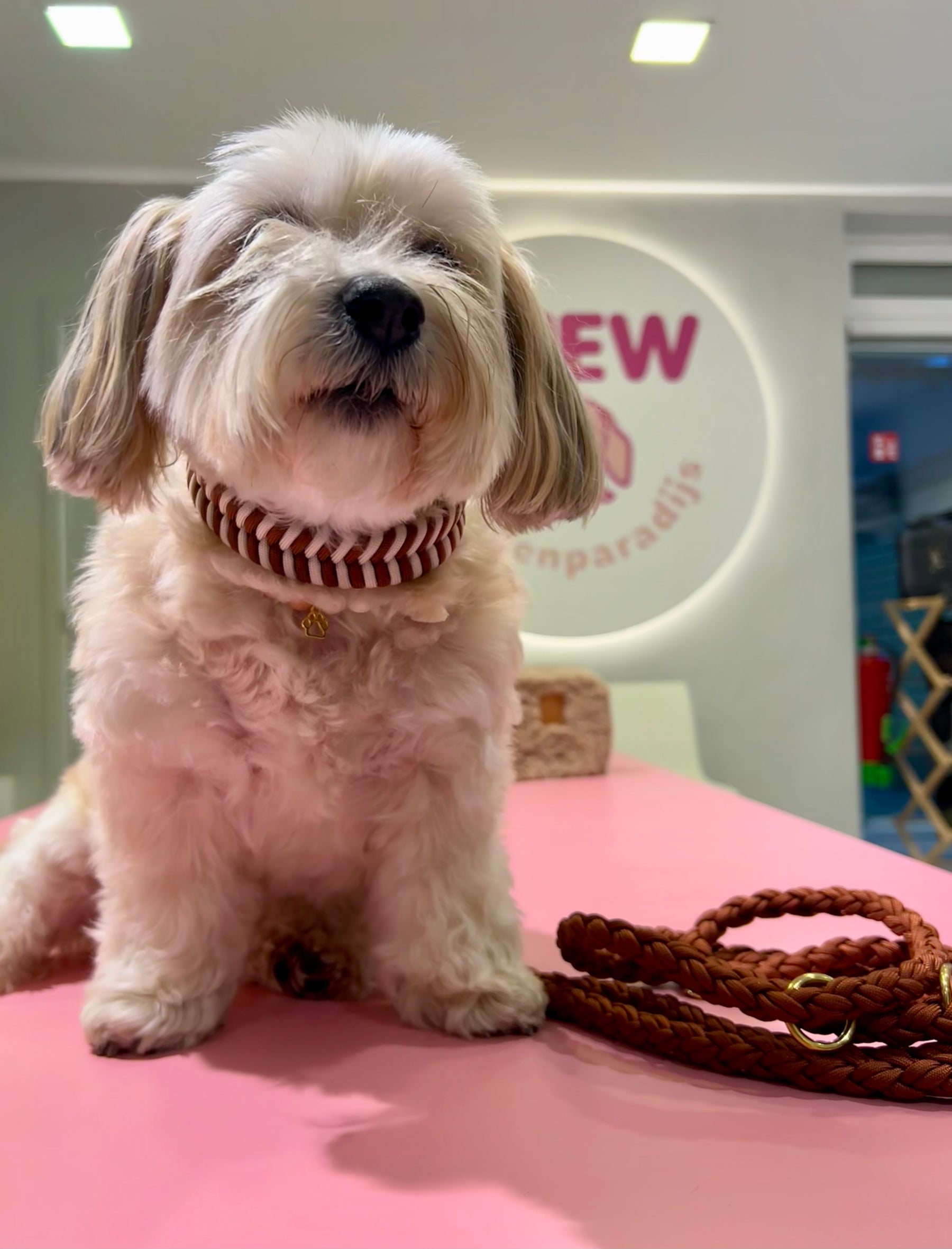 Riviera Collection - Forte dei Marmi tekenband