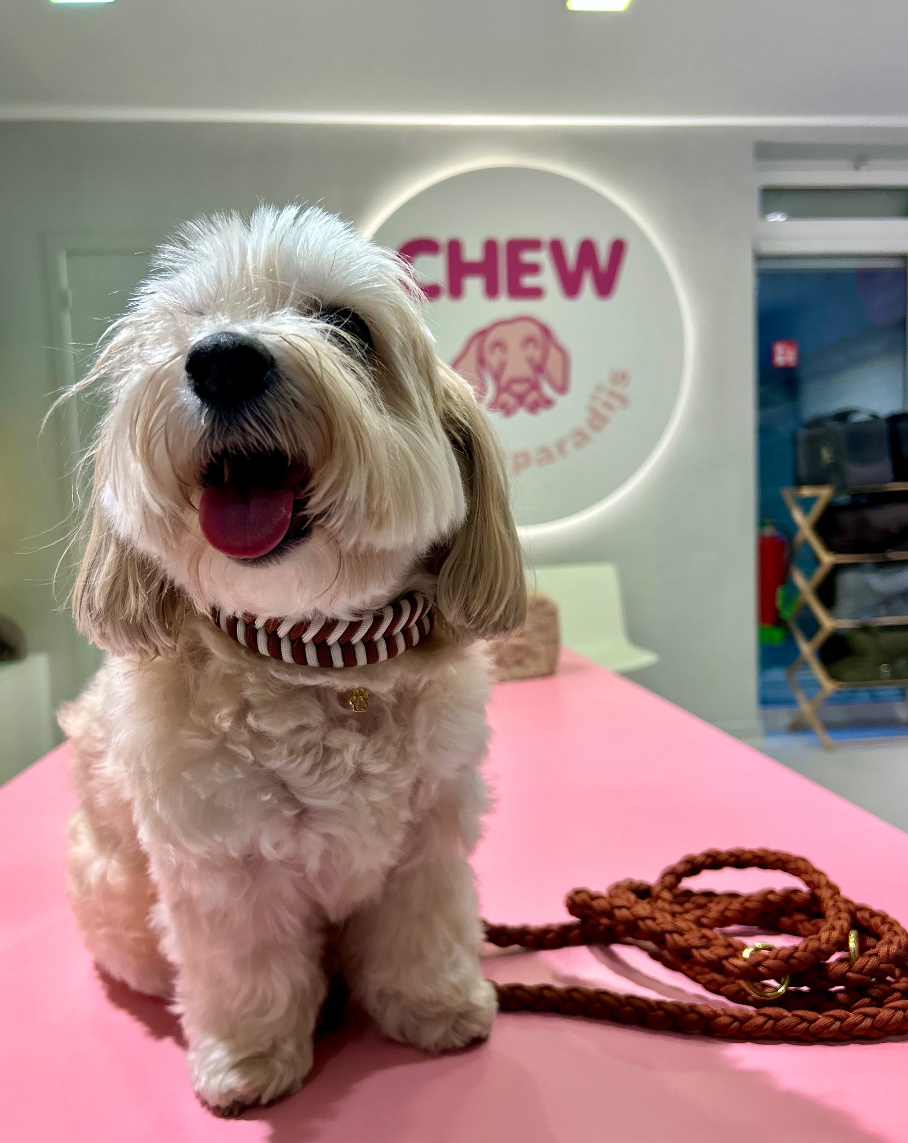 Riviera Collection -  Forte dei Marmi halsband