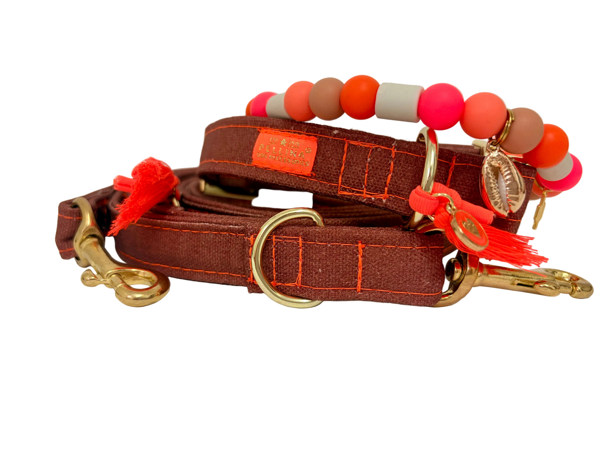 Royal Cinnamon halsband