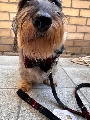Ensemble tartan en tweed noir