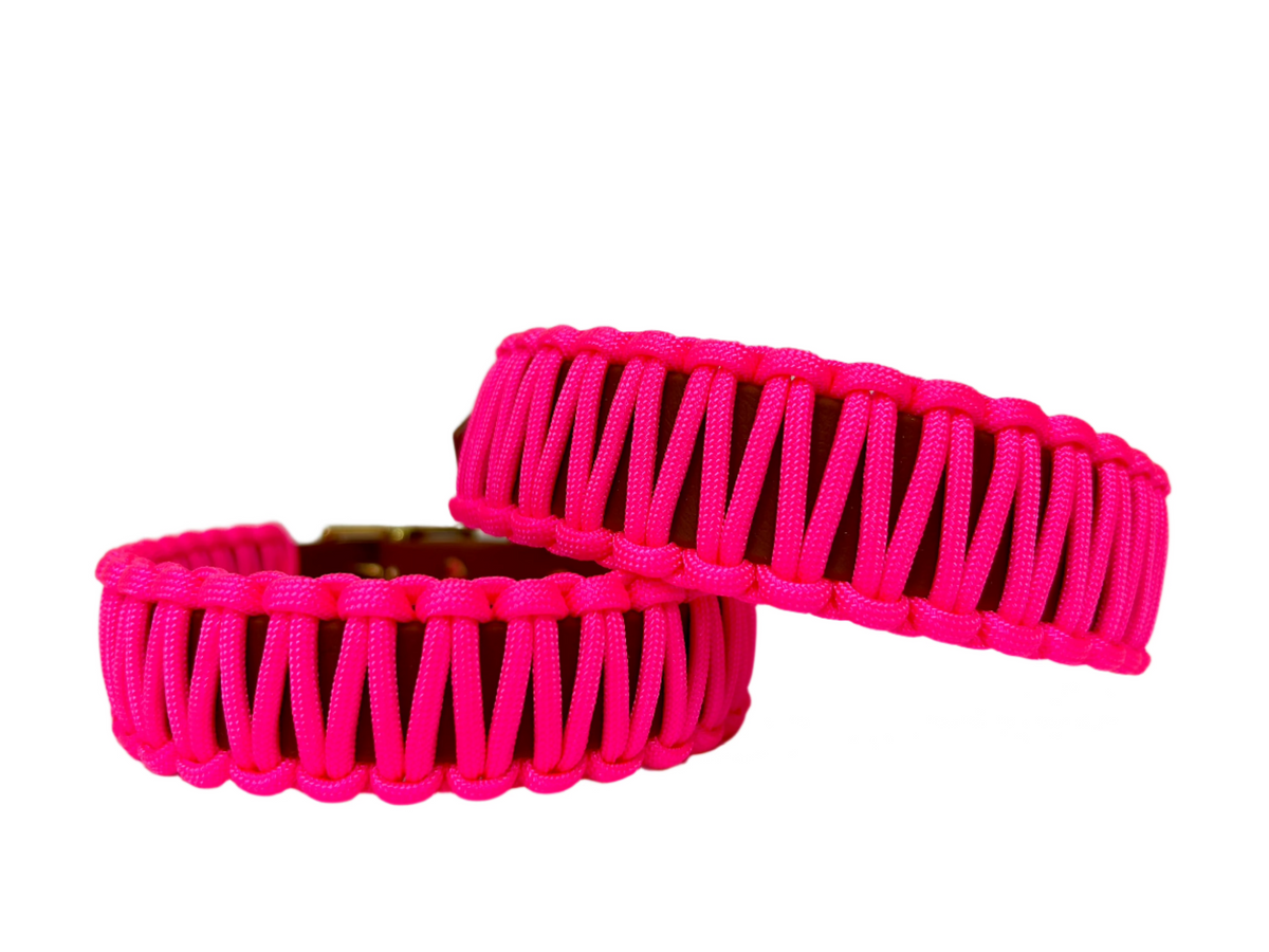 Neon Pink Classic Collar - Cognac Biothan