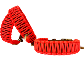 Collar classico arancione neon - Biothane Cognac