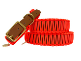 Collar classico arancione neon - Biothane Cognac