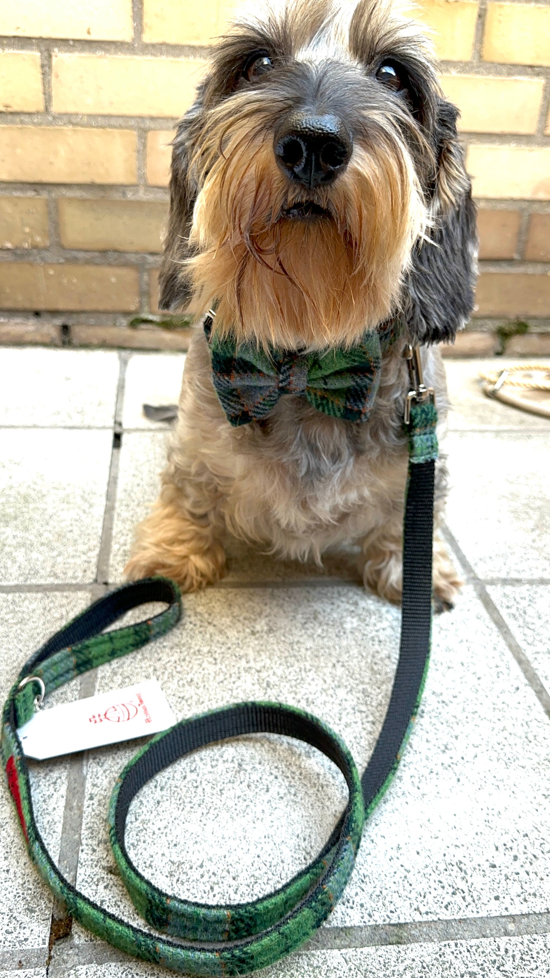 Ensemble tartan vert en tweed