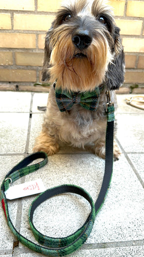 Ensemble tartan vert en tweed
