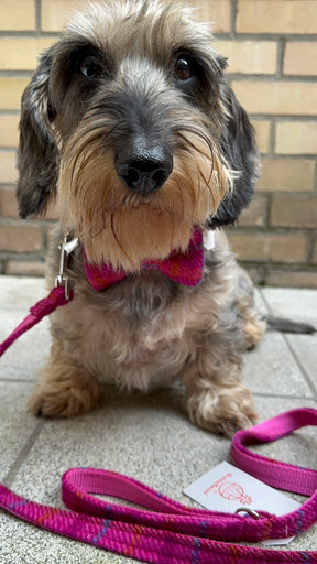 Tweed baby fuchsia set