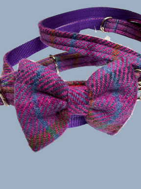 Ensemble tweed violet