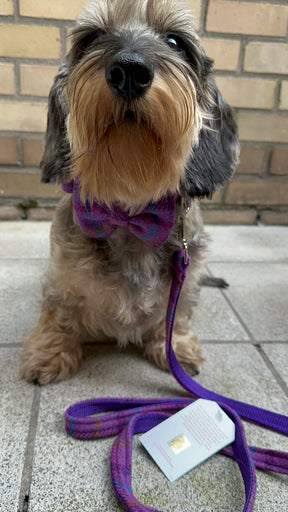 Ensemble tweed violet