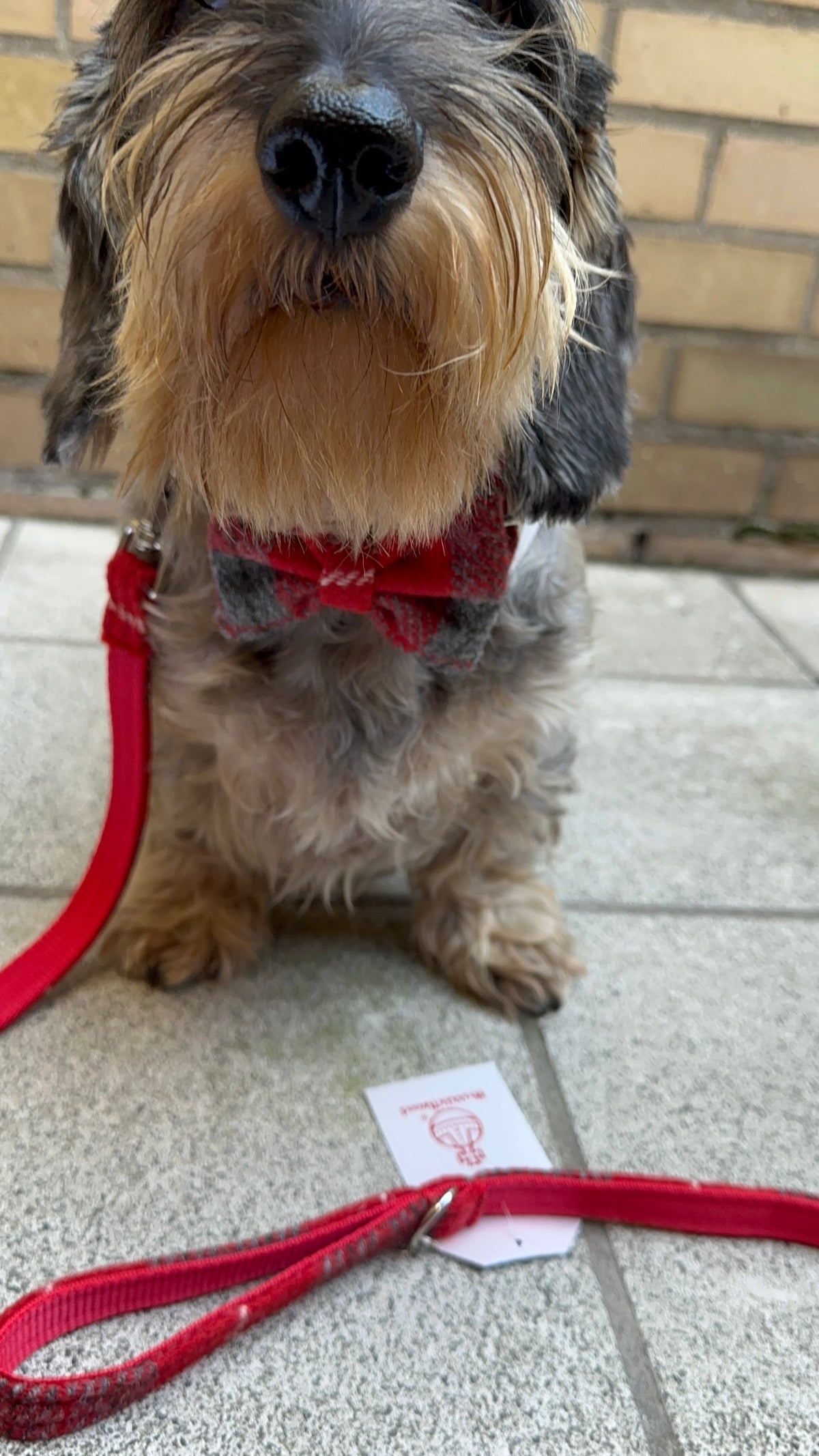 Tweed tartan red grey white set