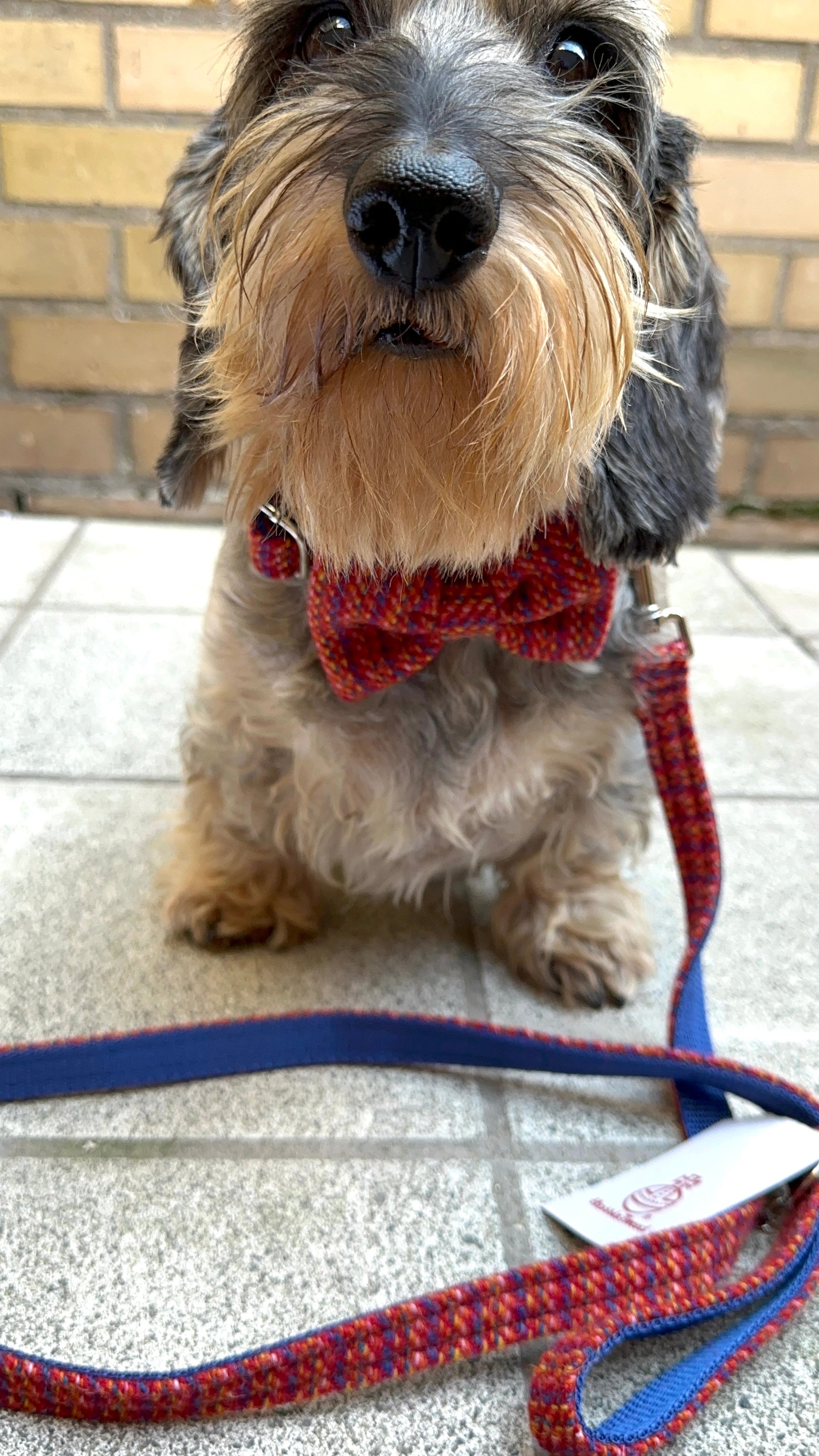 Tweed stripe red set