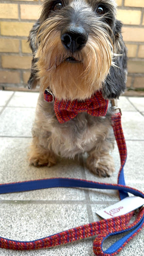 Tweed stripe red set