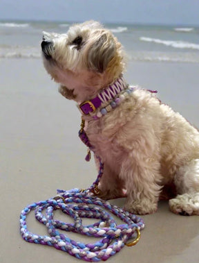 Anti -sign Beading band - Purple Island