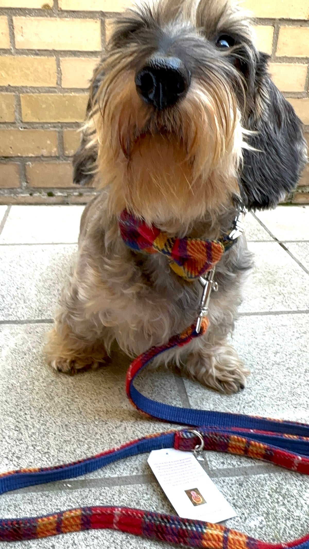 Tweed tartan yellow red set