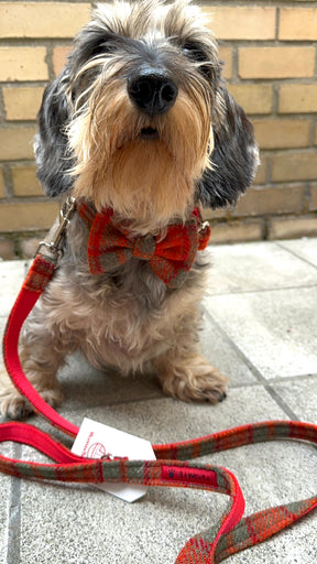 Ensemble tartan tweed rouge gris orange