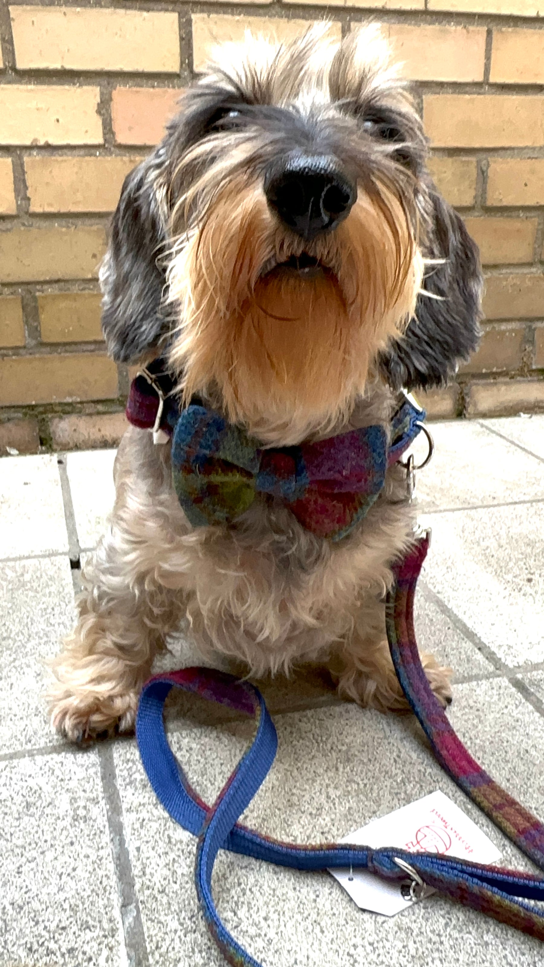 Tweed tartan green - bright blue set