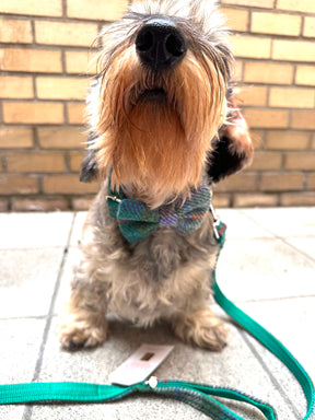 Tweed tartan green purple set