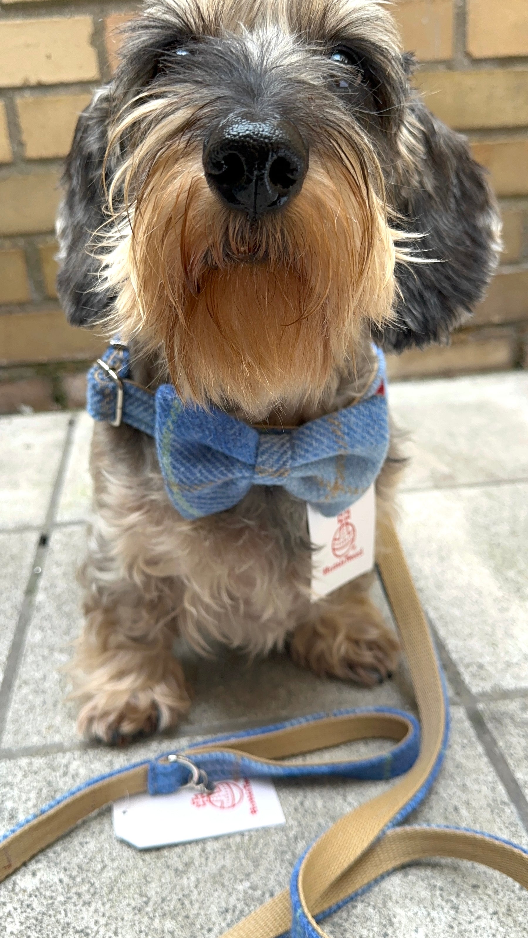 Tweed tartan light blue set