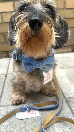 Tweed tartan light blue set