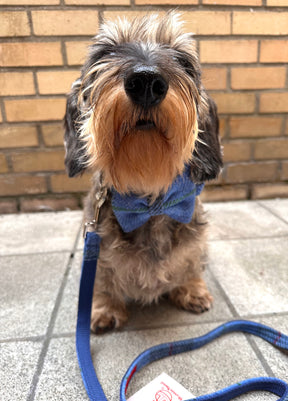 Ensemble tartan bleu en tweed