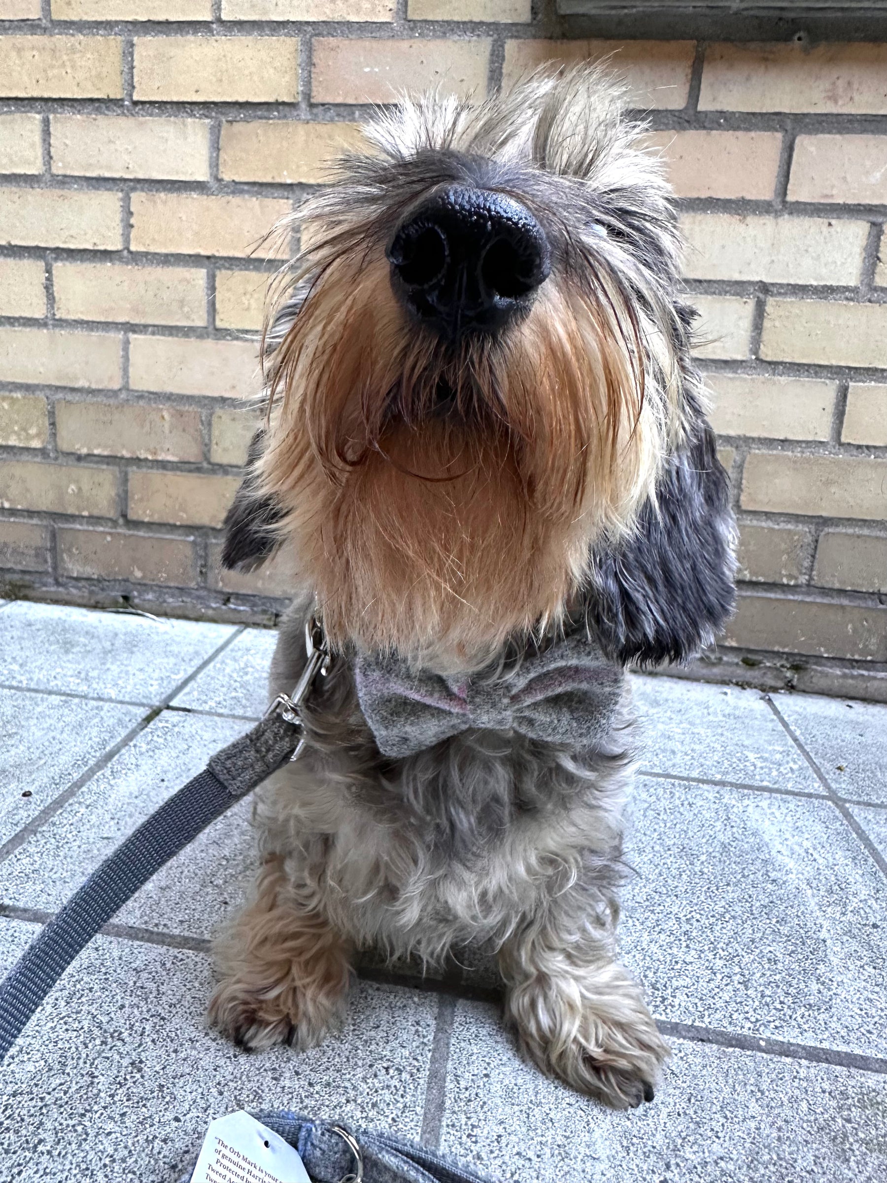 Tweed light gray set