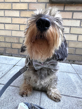 Tweed light gray set