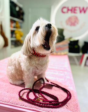 V-Woven Burgundy meets orange halsband