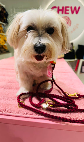 V-Woven Burgundy meets orange halsband