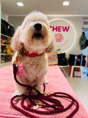 V-Woven Burgundy meets orange halsband