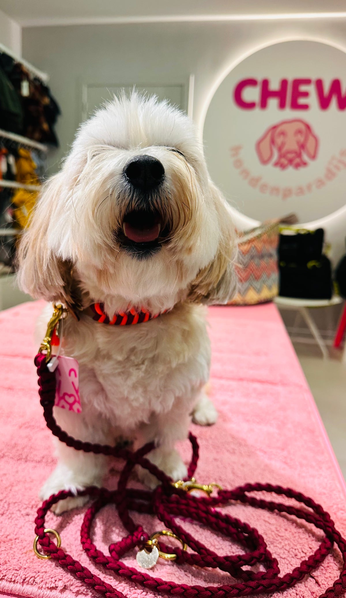 V-Woven Burgundy meets orange halsband
