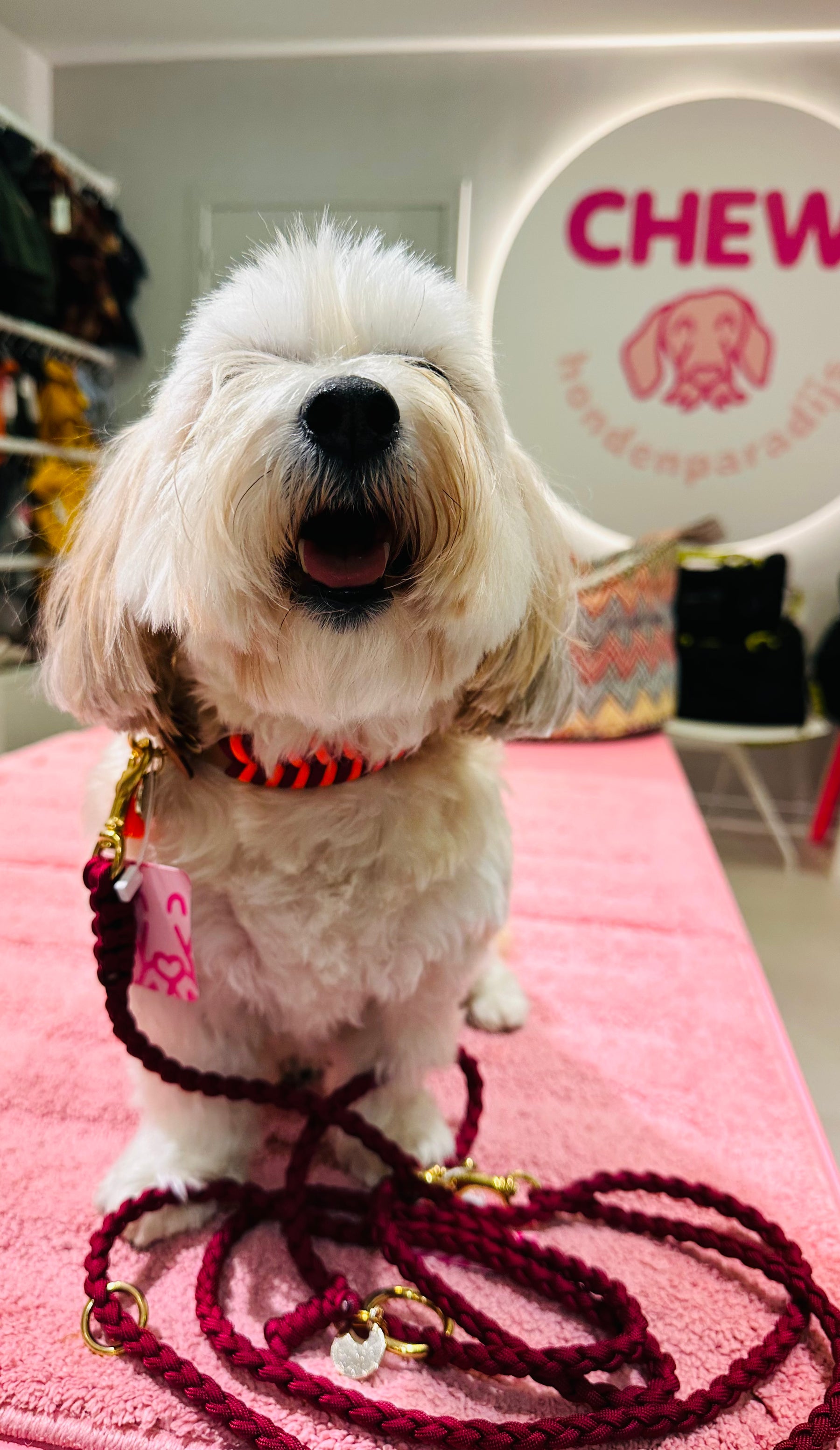 V-Woven Burgundy meets orange halsband