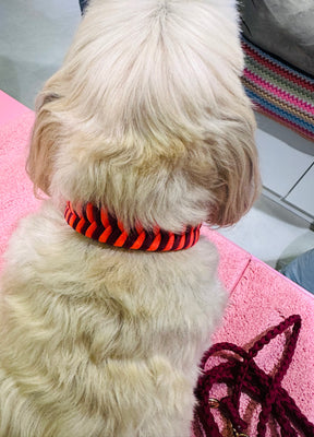 V-Woven Burgundy meets orange halsband