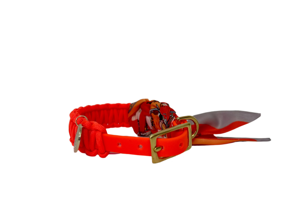Lilly Neon orange halsband