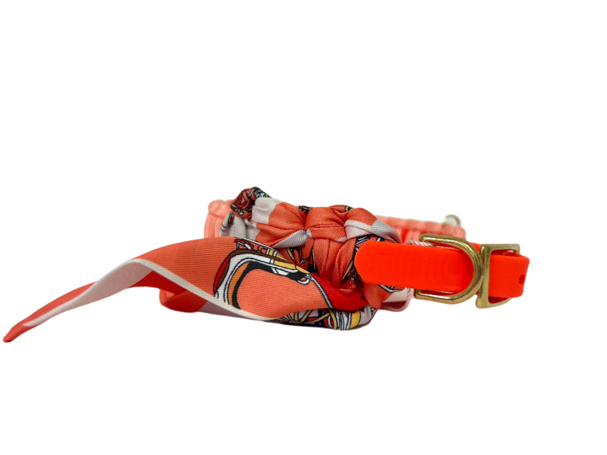 Lilly Neon zalm halsband