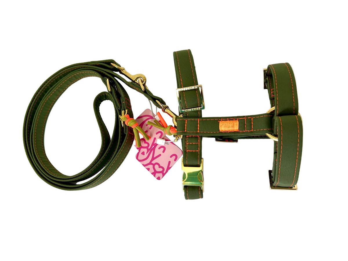 Riviera Collection - Ravello leiband