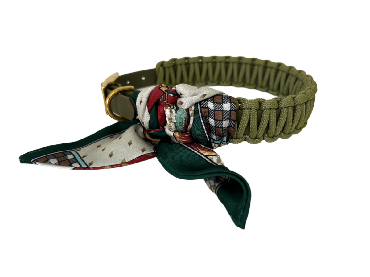 Lilly Olive Collar