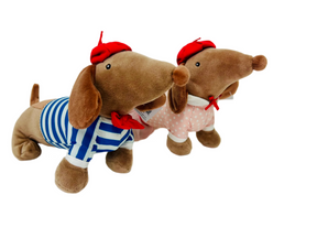 Scottish dachshund