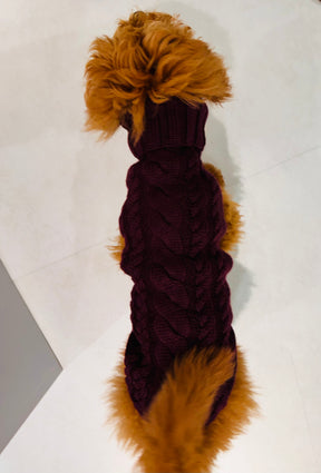 Pull Royal Aubergine