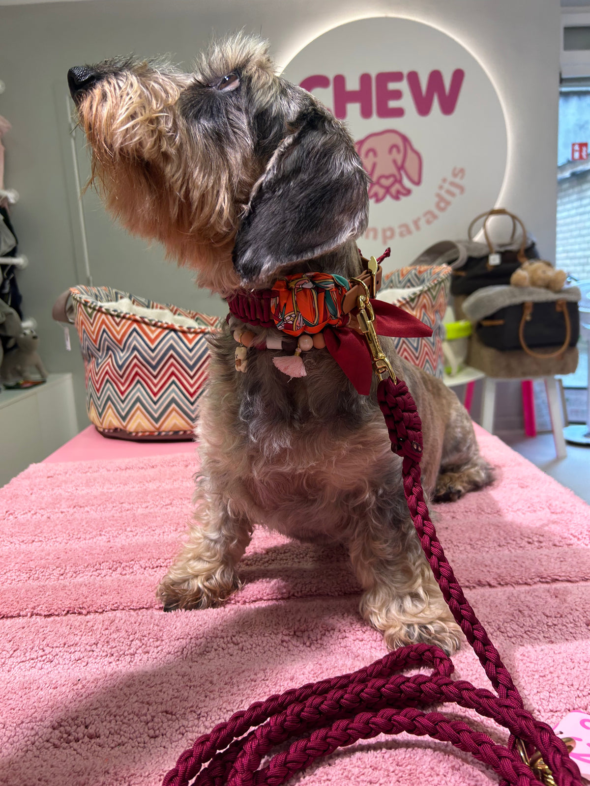 Lilly Burgundy halsband