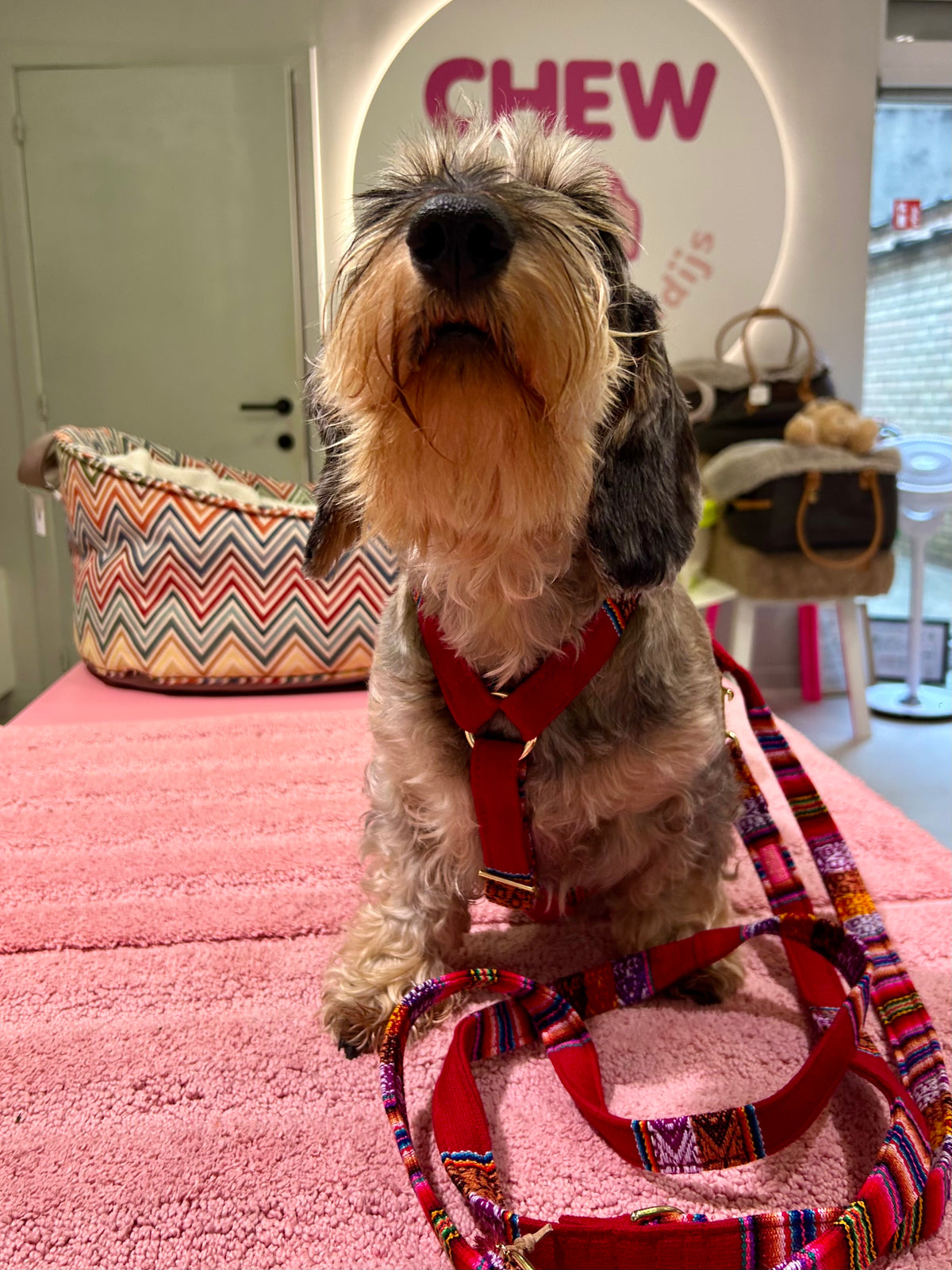 Bohemian Burgundy leiband