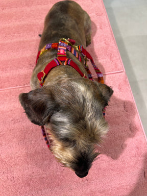 Bohemian Burgunderharnas