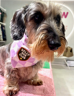 Belly Rub Club Bandana