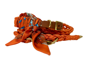 Paracord Classic Apawrol extra Long